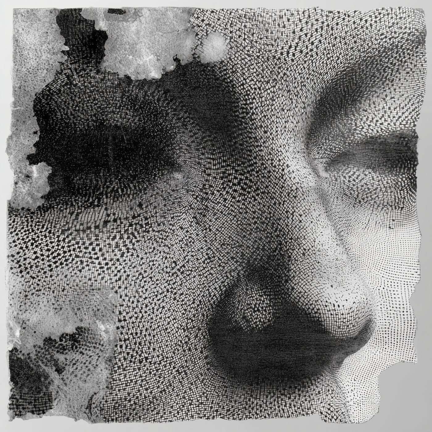 TW-016 Lace Perforation by Tela Weft: Pale lace-knit face with eyelet holes and frayed edges